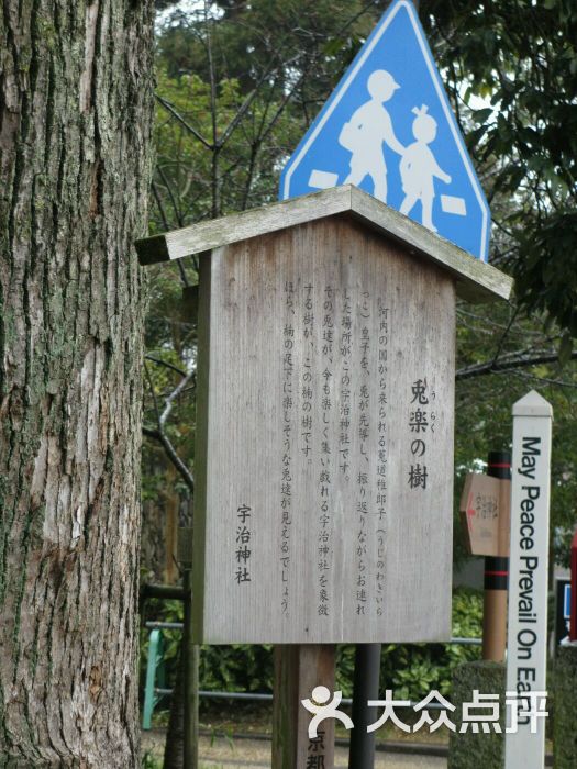 uji shrine 宇治神社图片 - 第4张