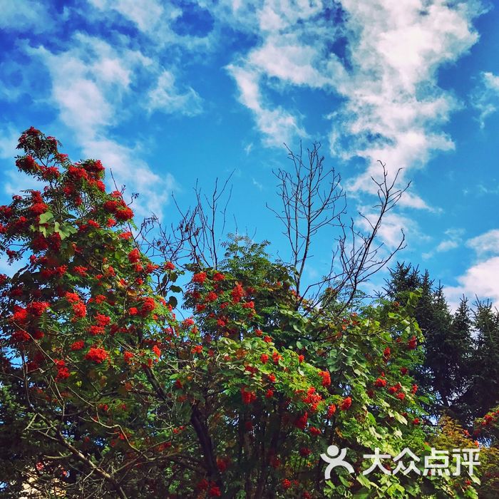 花园邨宾馆