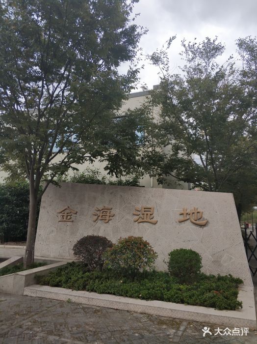 金海湿地公园图片 - 第7张