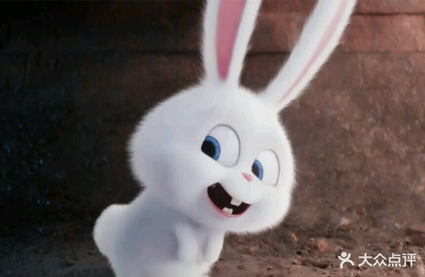 精锐教育(徐汇上体馆中心)