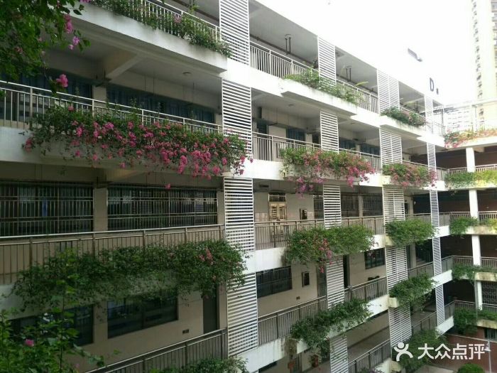 福田区外国语学校(侨香校区)图片 - 第2张