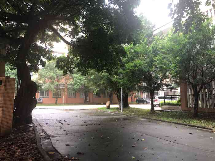 广州市白云区金沙中学-"什么都很好,就是午餐难吃就是