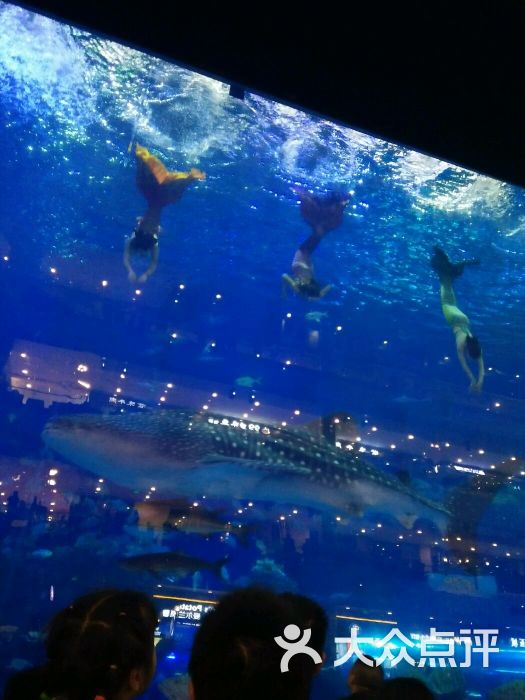 海滨城浩海立方海洋馆的全部点评-双流区-大众点评网
