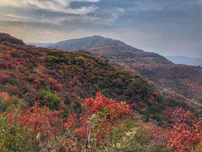 太原龙山景区-"龙山景区位于风光秀丽,重峦叠嶂的太原