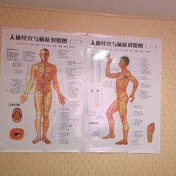 养生时间与经络关系 vQvXAEeILd5k7sPAJ8xMoimecD8-CZD0Y5-WuNO583eIMGiRxEW8KVPM0JdI8n0eJqRbcw729ShdMCUgtEou7g.jpg
