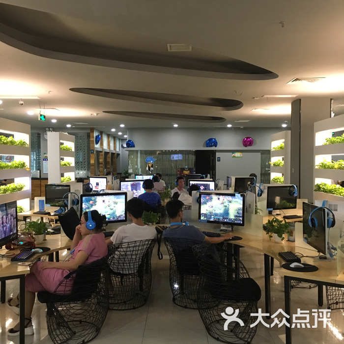 网鱼网咖