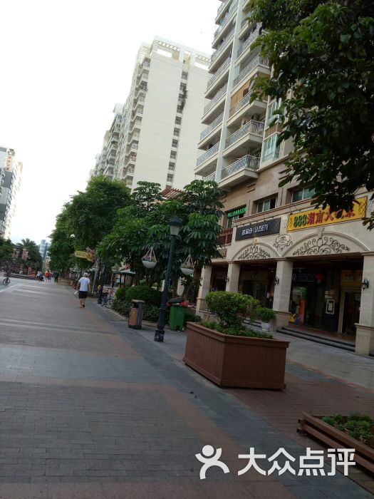 西丽366大街-图片-深圳周边游-大众点评网