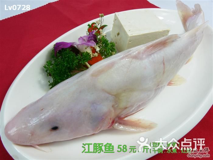 洞庭春(吴中路店)-江豚鱼58斤图片
