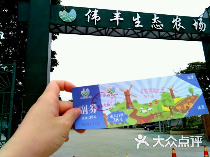 伟丰生态农场图片 - 第16张