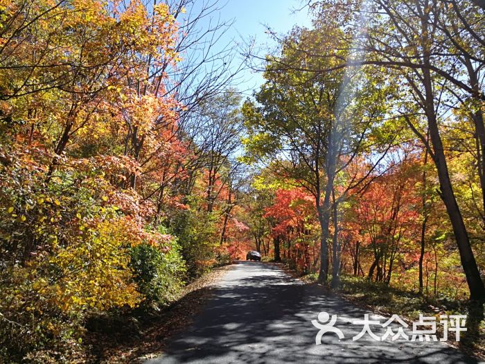 岗山国家森林公园-图片-新宾满族自治县周边游-大众