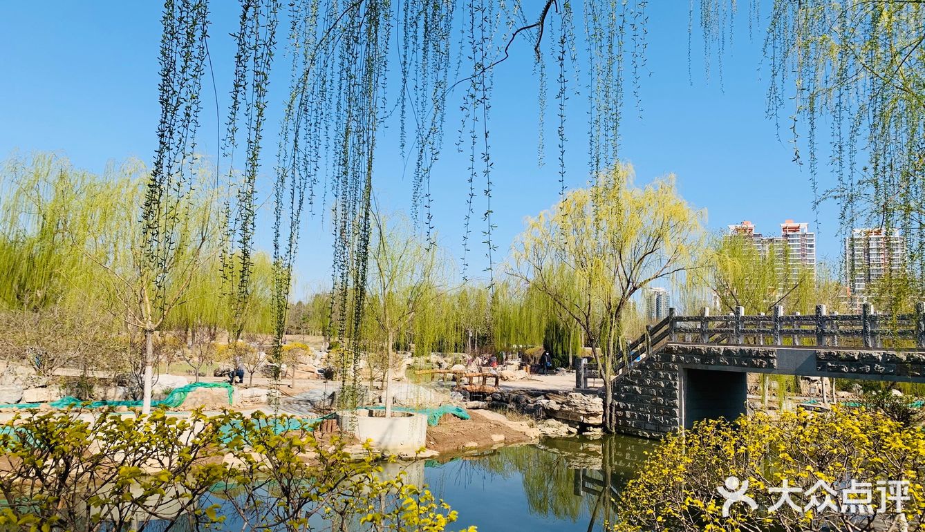 周末的早上在公园里转转