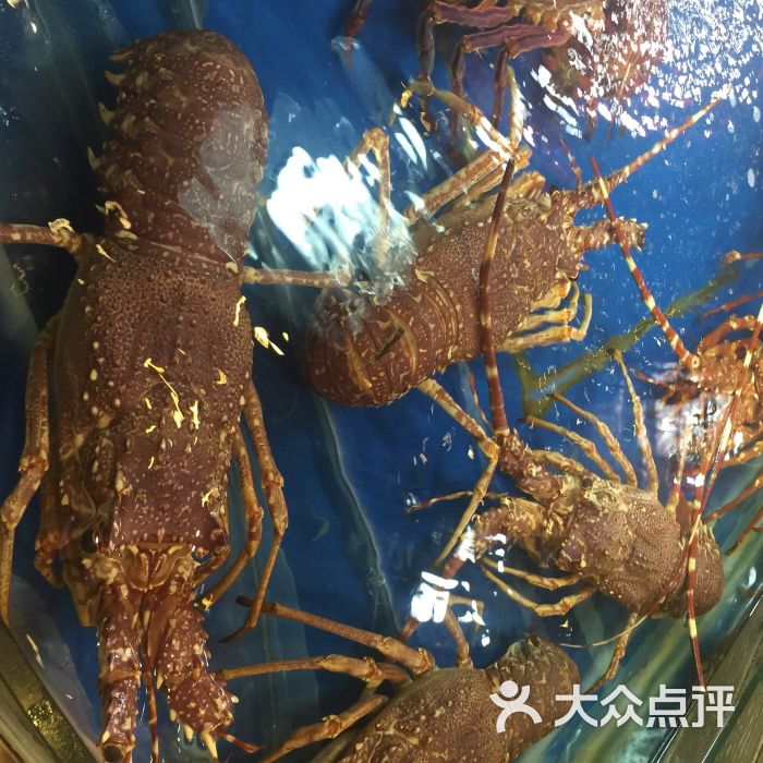 万龙洲海鲜大酒楼(南新仓店)