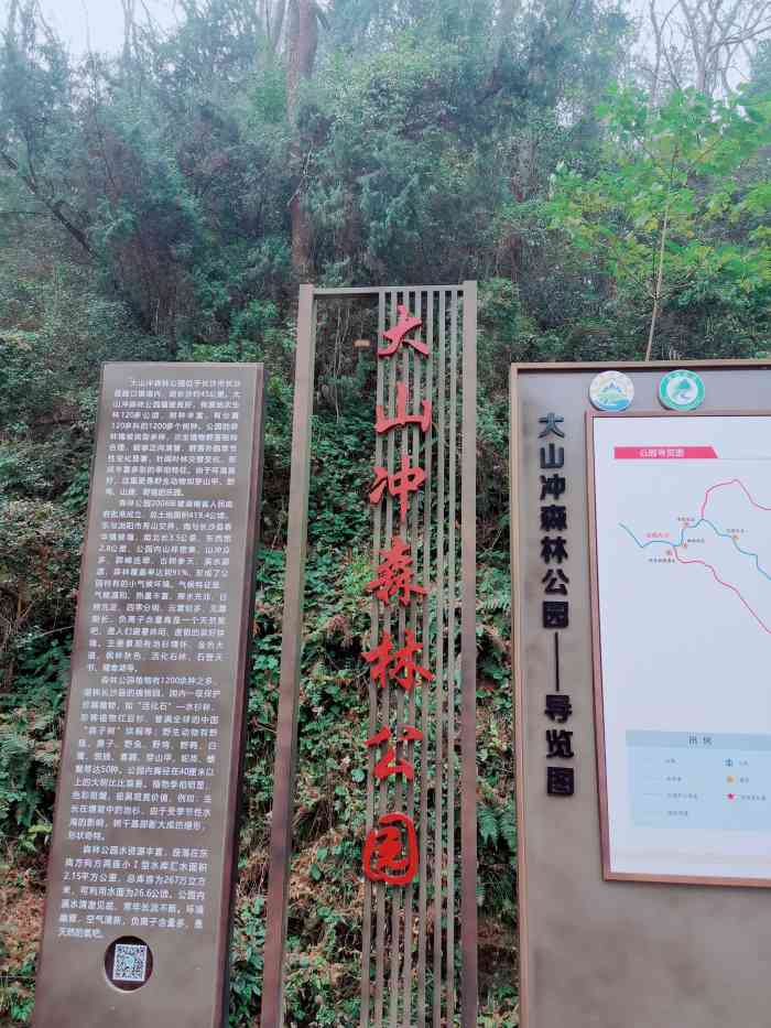 大山冲森林公园-"这个地方景美人少还不需要门票,停车