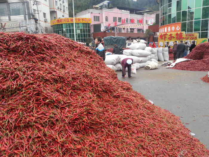 中国辣椒城-"中国辣椒城,位于遵义市新蒲新区虾子镇,走.