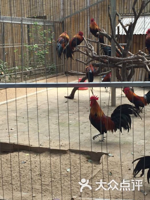 酷跳蹦床主题公园(龙华店)-图片-深圳休闲娱乐