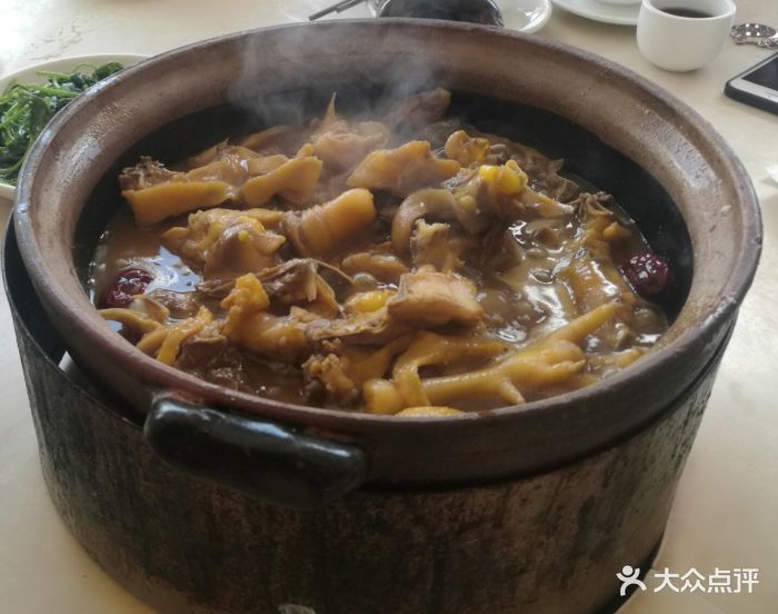 屯昌枫木香草鸭-图片-三亚美食-大众点评网