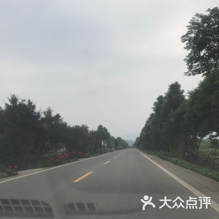 重庆路-图片-成都休闲娱乐-大众点评网