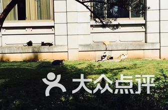 西湖区小学排名