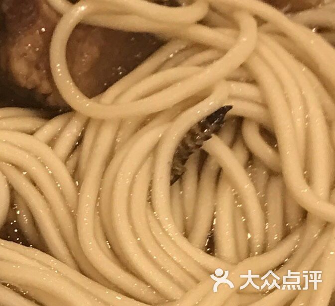 恶心的带虫子的牛肉面