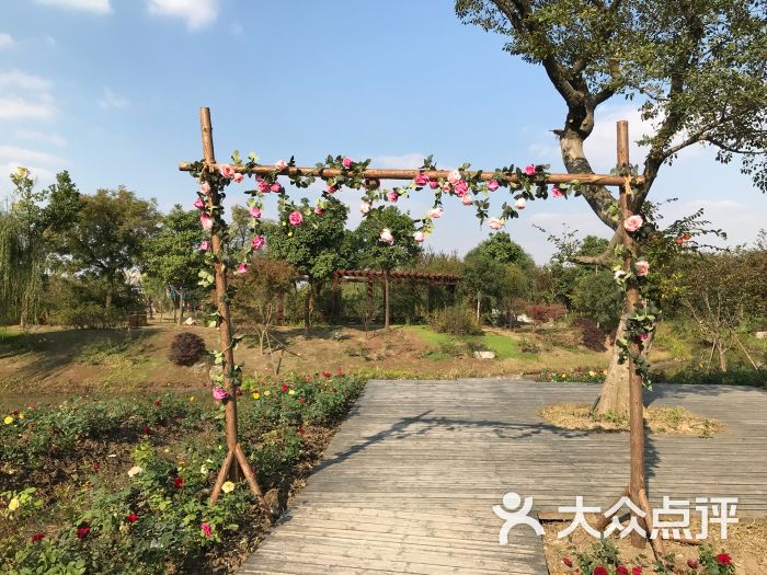 鹅湖玫瑰文化园图片 - 第7张