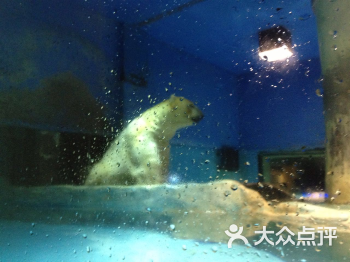 大连圣亚海洋世界图片 - 第5682张
