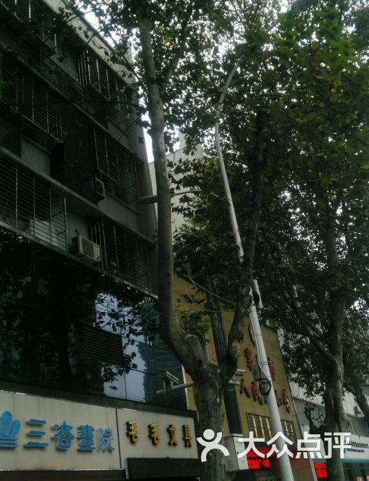 襄阳市人民路小学的点评