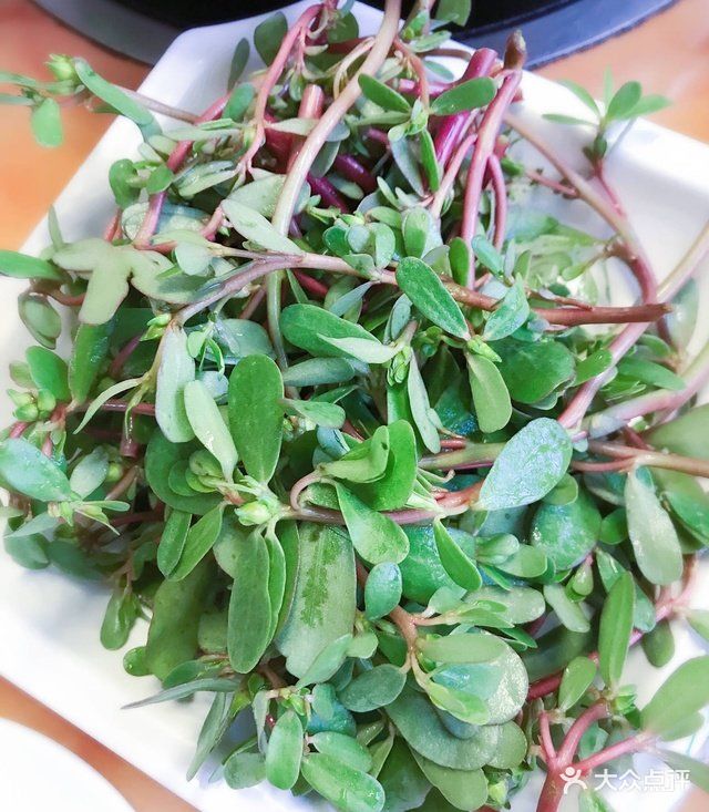 黑豆花,火麻草,鸭脚板.