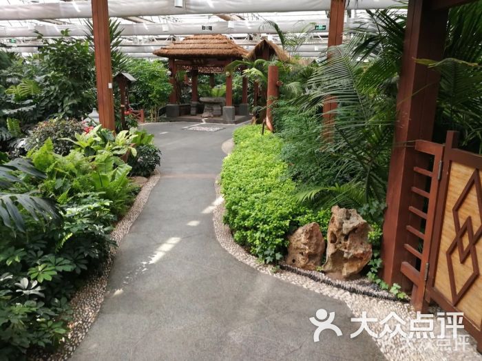 南宫泉怡园农庄春满园餐厅图片 第4张