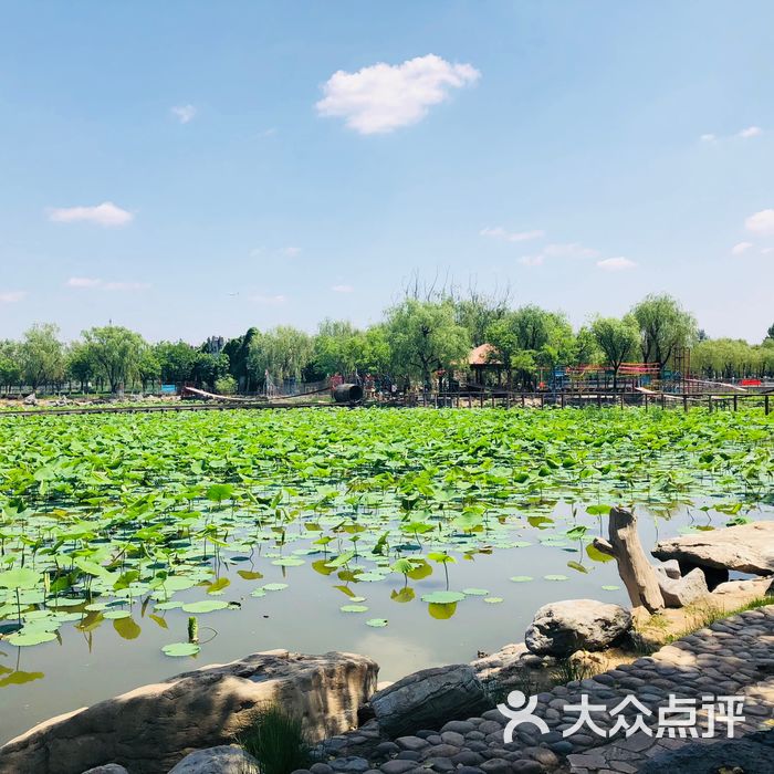 蟹岛绿色生态度假村图片-北京其他景点-大众点评网