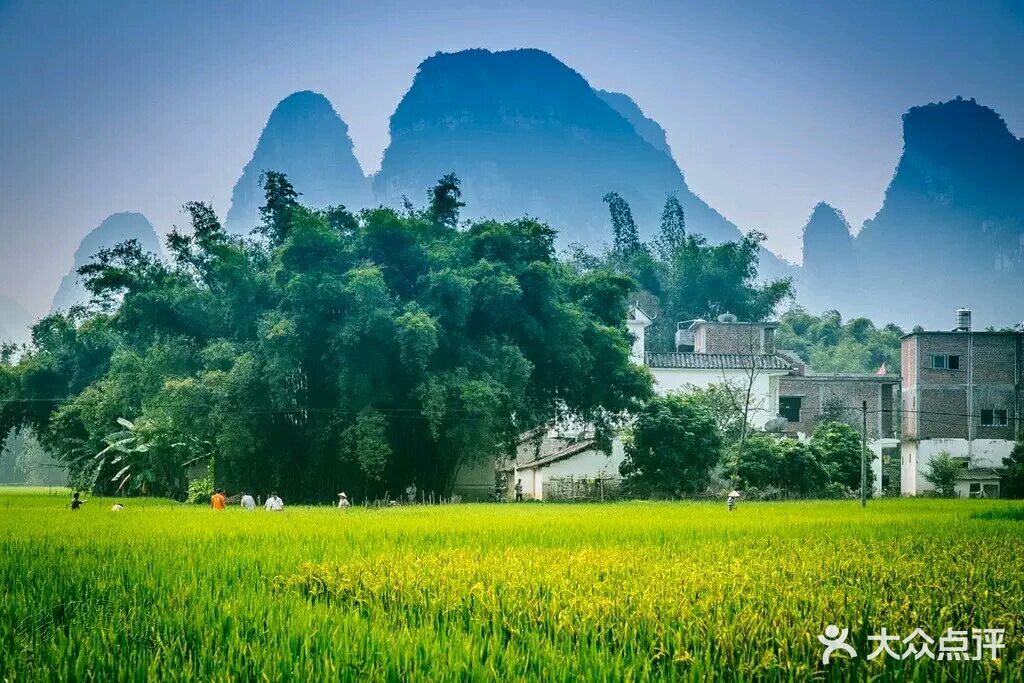 明仕田园-图片-大新县周边游-大众点评网