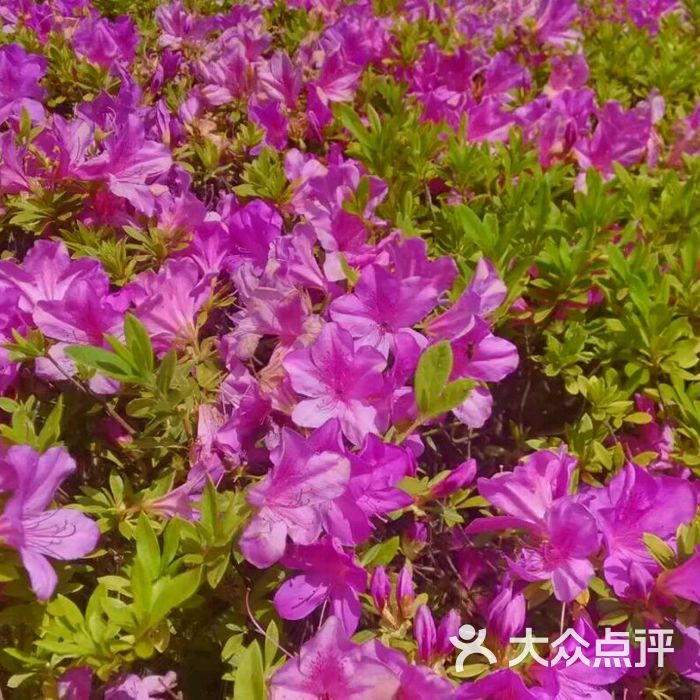 玉溪师范学院