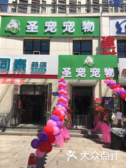 圣宠宠物店(群力家园店)图片 第3张