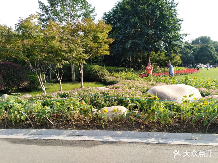 青枫公园图片 - 第7张