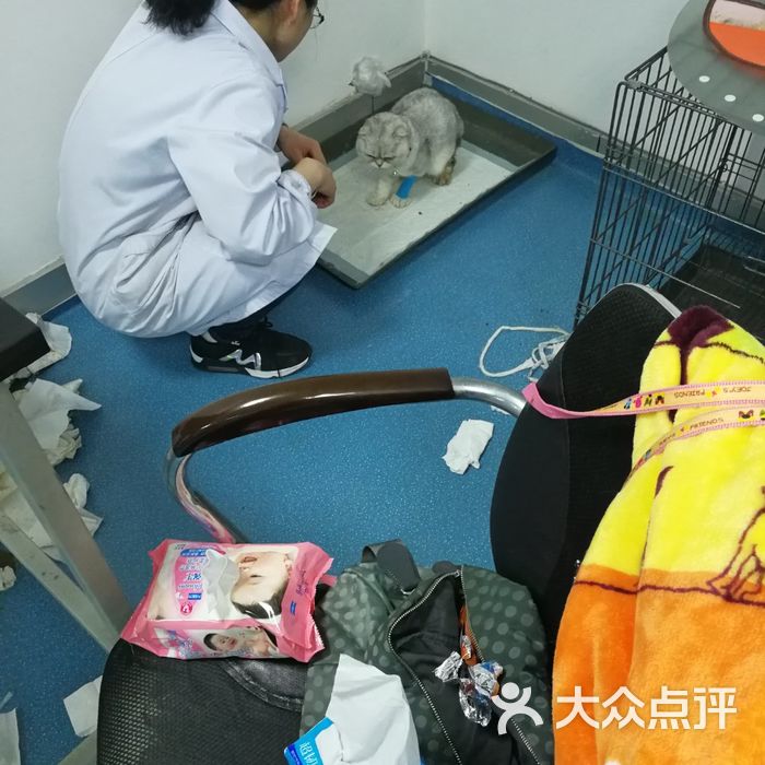 西南民族大学动物医院