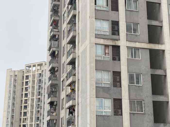 城南家园五组团-"如果只从外景看这几栋房子的话还是不错,颜.