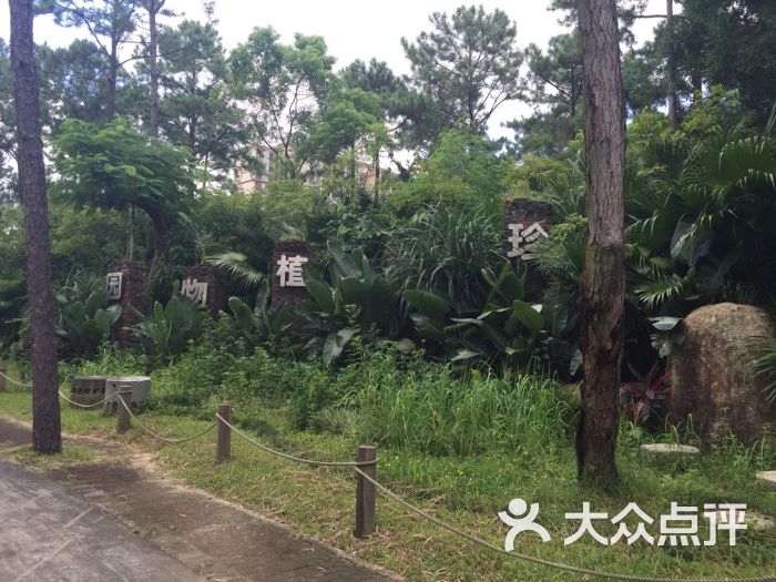 金山植物公园图片 - 第20张