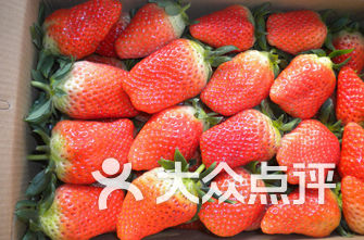 草莓品种排名_草莓品种大全及照片(3)