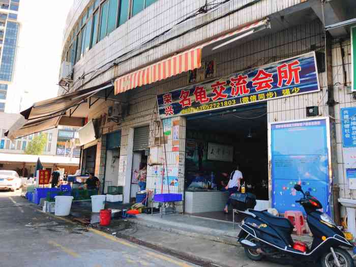 耙冲三鸟批发市场-"江门城区的禽鸟批发市场,近期暂停
