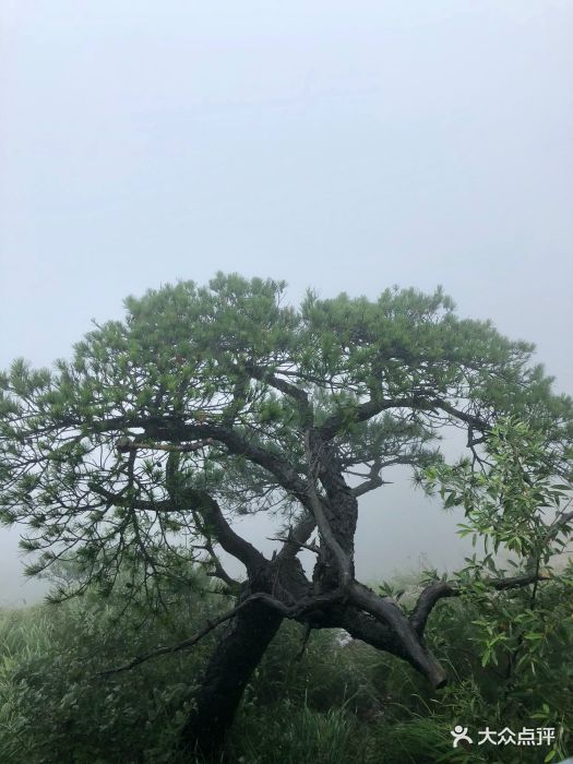 波尔卡说去明唐山玩,我不明所以,这是什么.-明