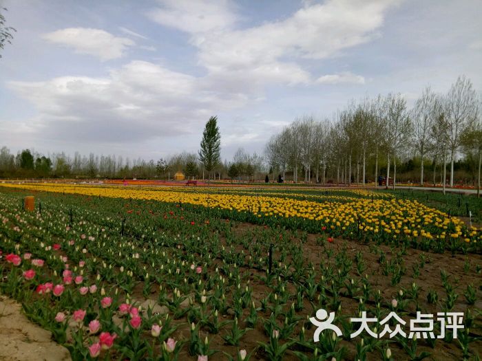 银川森淼生态旅游区图片 - 第9张