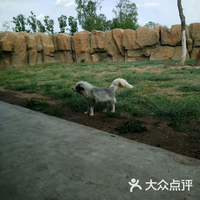 龙沙动植物园