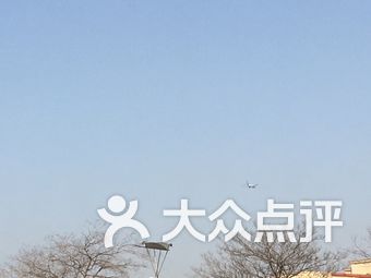 【青岛佳二妞烤骨头】