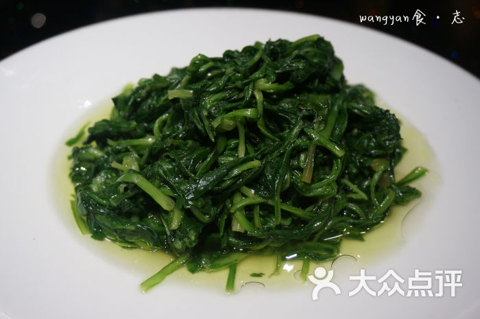 蓬哈菜