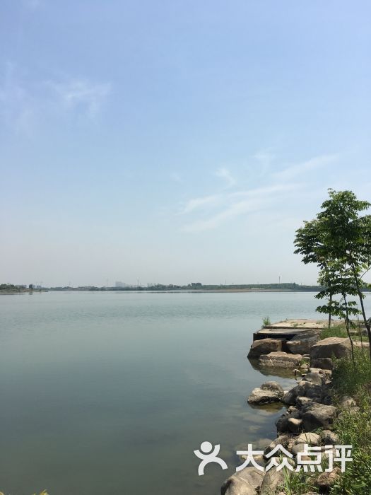 盛泽湖月季公园停车场图片 - 第8张
