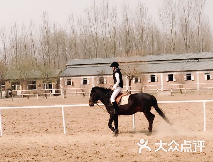 爱马人马术俱乐部-图片-济南运动健身-大众点评网