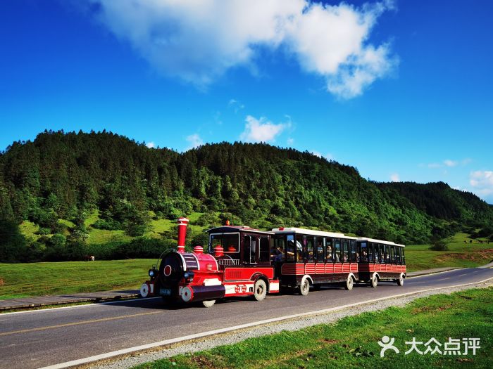 仙女山国家森林公园图片