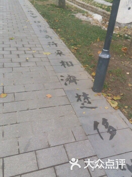 西沽公园-图片-天津周边游-大众点评网