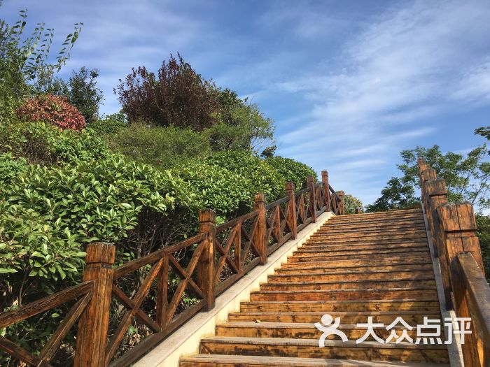 大伊山风景区图片 - 第3张