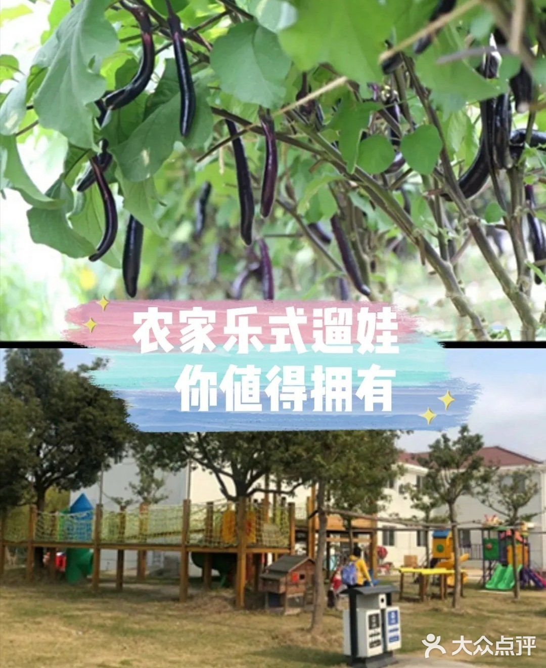 种动员亲子农场☆大自然的拥抱