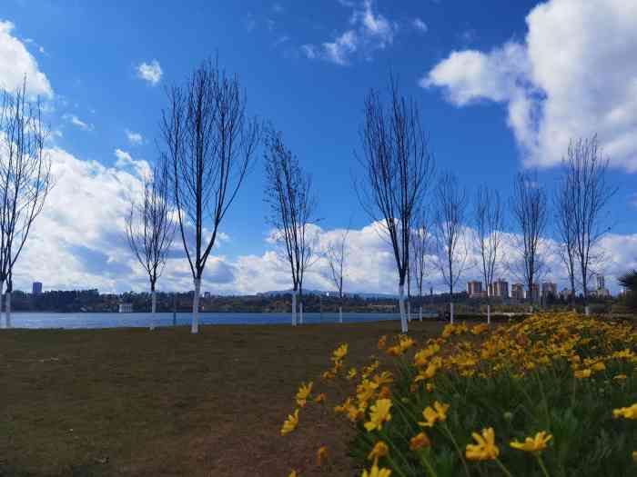 安宁市宁湖森林公园"五里多的繁花似锦,远离城市的浮躁的喧嚣.